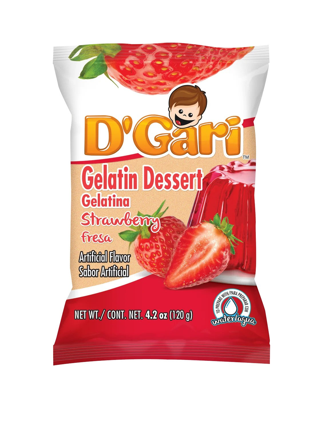 D'GARI GELATIN HORCHATA 24/4.2 OZ
