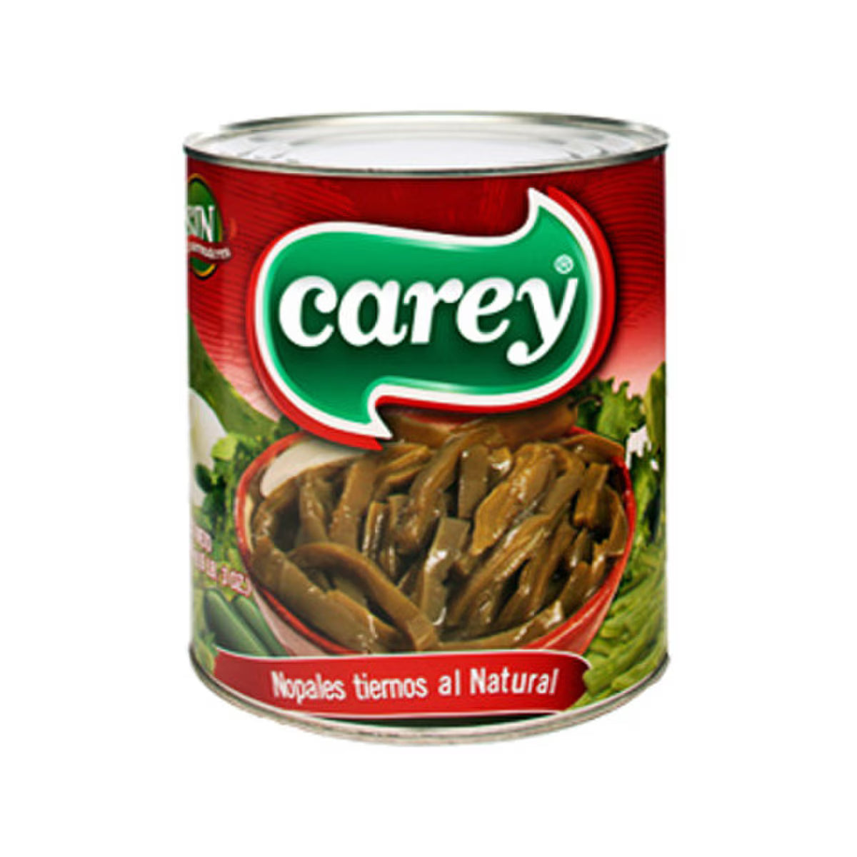 CAREY NOPALES CACTUS 6/10